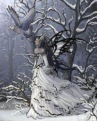 公主和强盗读后感30字